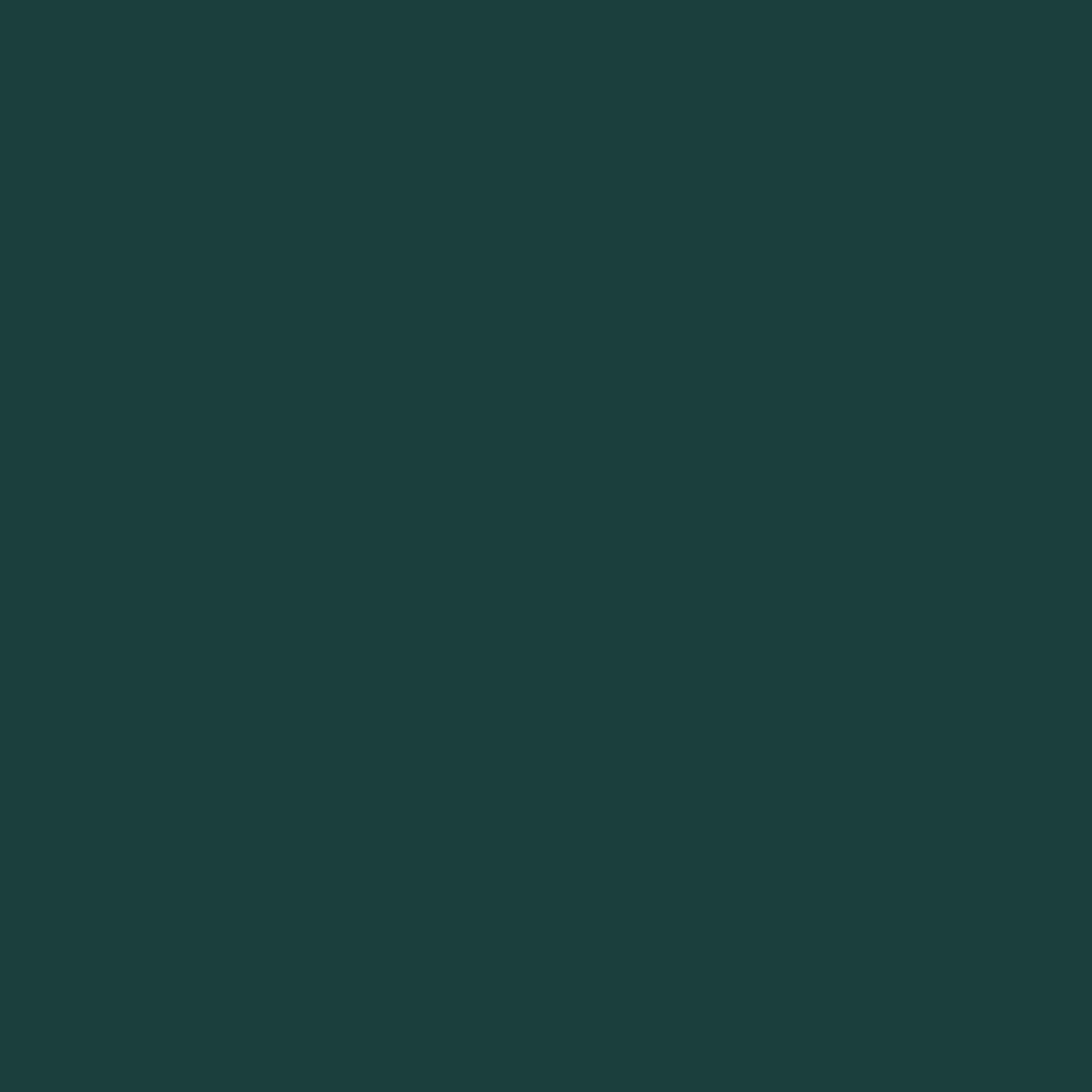 Туманный лес (RAL 6012)